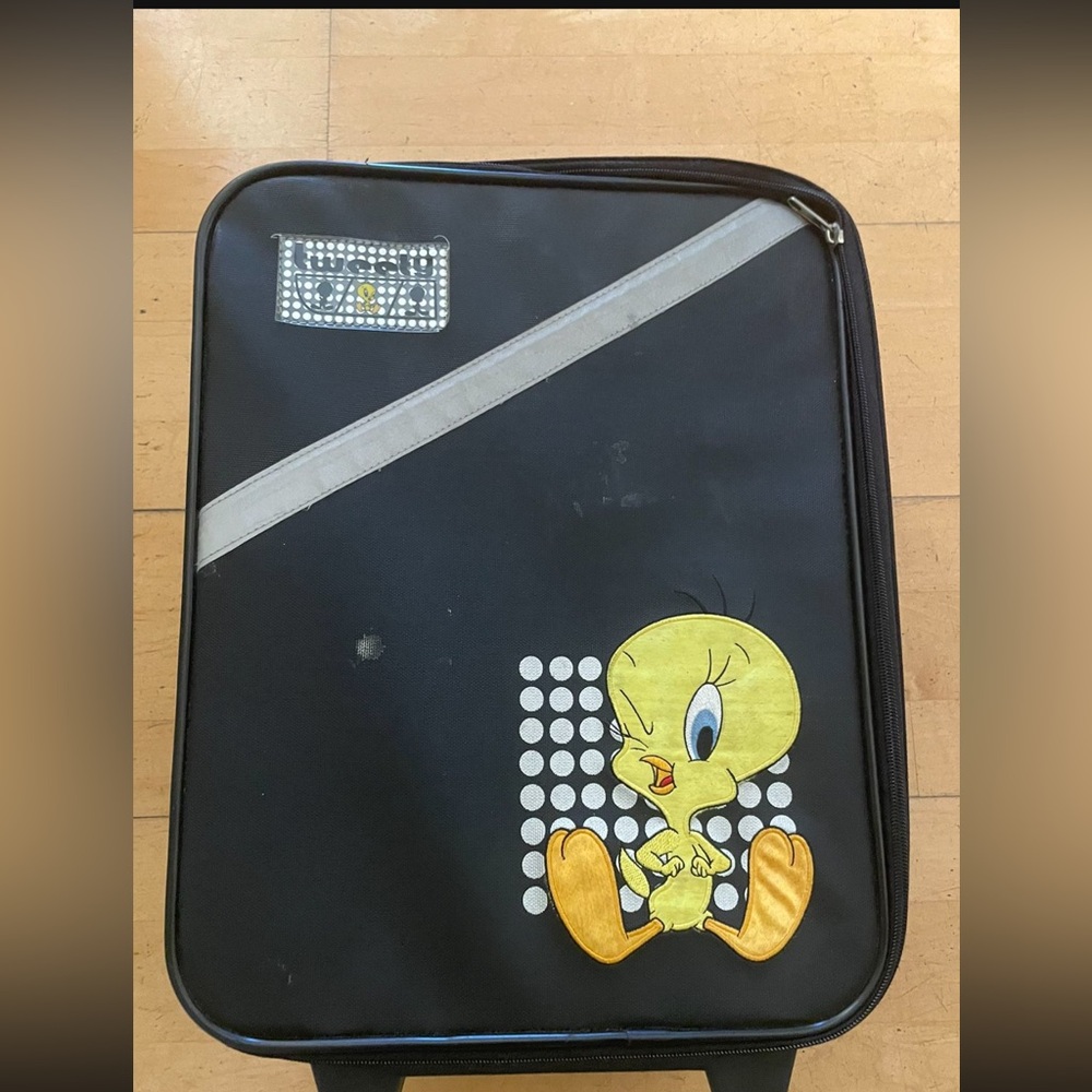 Carry on luggage for kids very clean